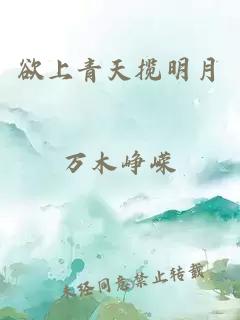 欲上青天揽明月