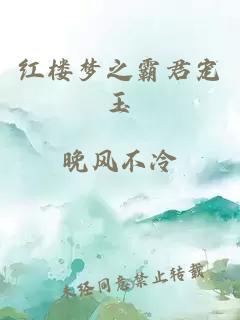 红楼梦之霸君宠玉