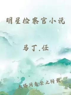 明星检察官小说