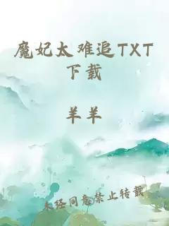 魔妃太难追TXT下载