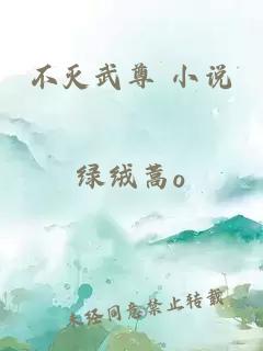 不灭武尊 小说