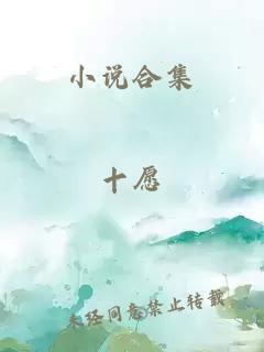 小说合集