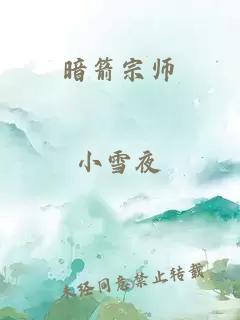 暗箭宗师