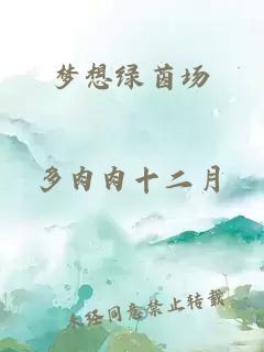 梦想绿茵场