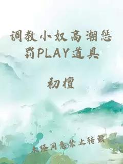 调教小奴高潮惩罚PLAY道具