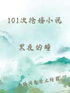 101次抢婚小说