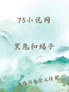 75小说网