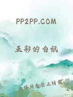 PP2PP.COM