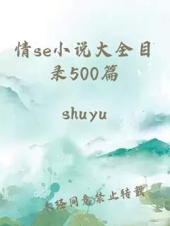 情se小说大全目录500篇