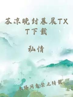 苏凉晚封暮晨TXT下载