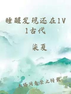 睡醒发现还在1V1古代