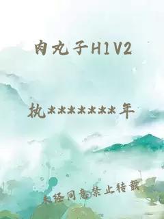 肉丸子H1V2