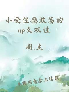 小受性瘾放荡的np文双性