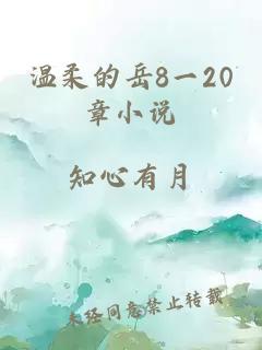 温柔的岳8一20章小说