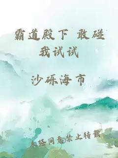 霸道殿下 敢碰我试试