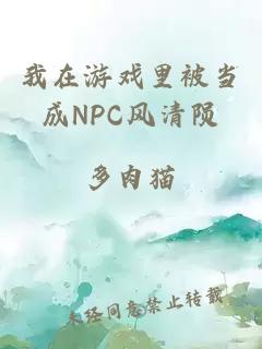 我在游戏里被当成NPC风清陨