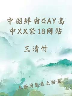 中国鲜肉GAY高中XX禁18网站