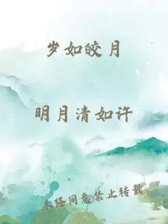 岁如皎月