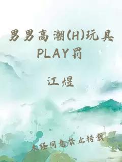 男男高潮(H)玩具PLAY罚