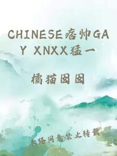 CHINESE痞帅GAY XNXX猛一