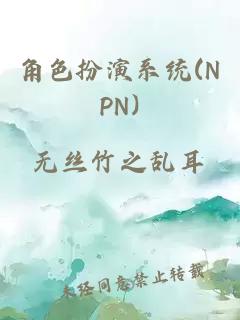 角色扮演系统(NPN)