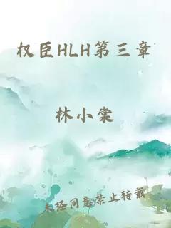 权臣HLH第三章