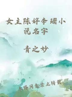 女主陈婷李珊小说名字