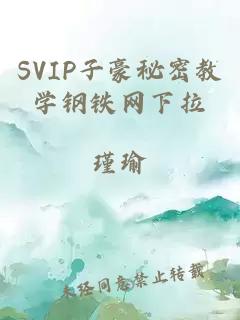 SVIP子豪秘密教学钢铁网下拉