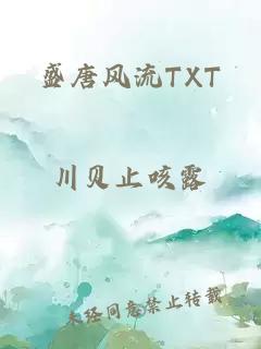 盛唐风流TXT