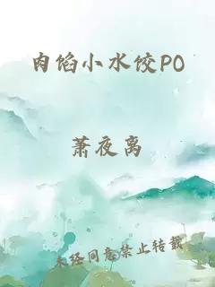 肉馅小水饺PO