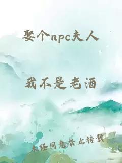 娶个npc夫人