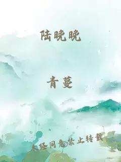 陆晚晚