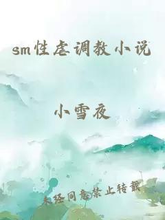 sm性虐调教小说