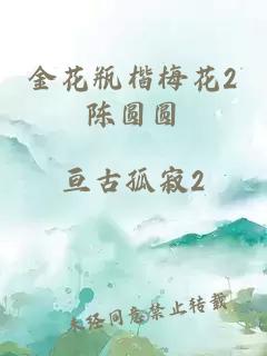 金花瓶楷梅花2陈圆圆