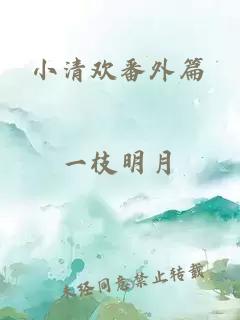 小清欢番外篇