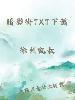 暗影街TXT下载