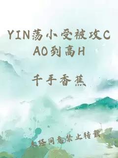 YIN荡小受被攻CAO到高H