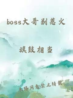 boss大哥别惹火