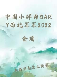 中国小鲜肉GARY西北军军2022