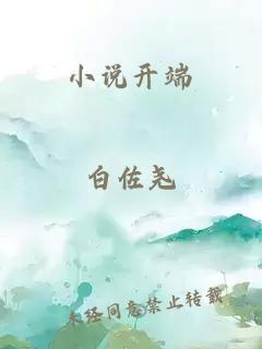 小说开端