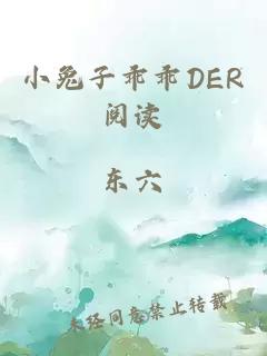 小兔子乖乖DER阅读