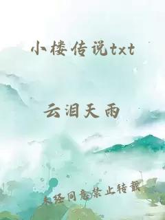 小楼传说txt