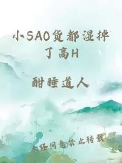 小SAO货都湿掉了高H