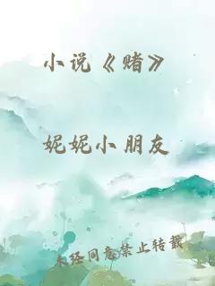 小说《赌》