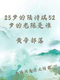 23岁的陆诗琪52岁的老陈是谁