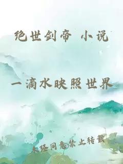 绝世剑帝 小说