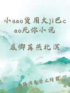 小sao货用大ji巴cao死你小说