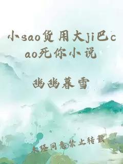 小sao货用大ji巴cao死你小说