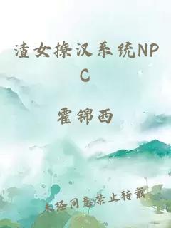 渣女撩汉系统NPC