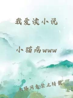 我爱读小说